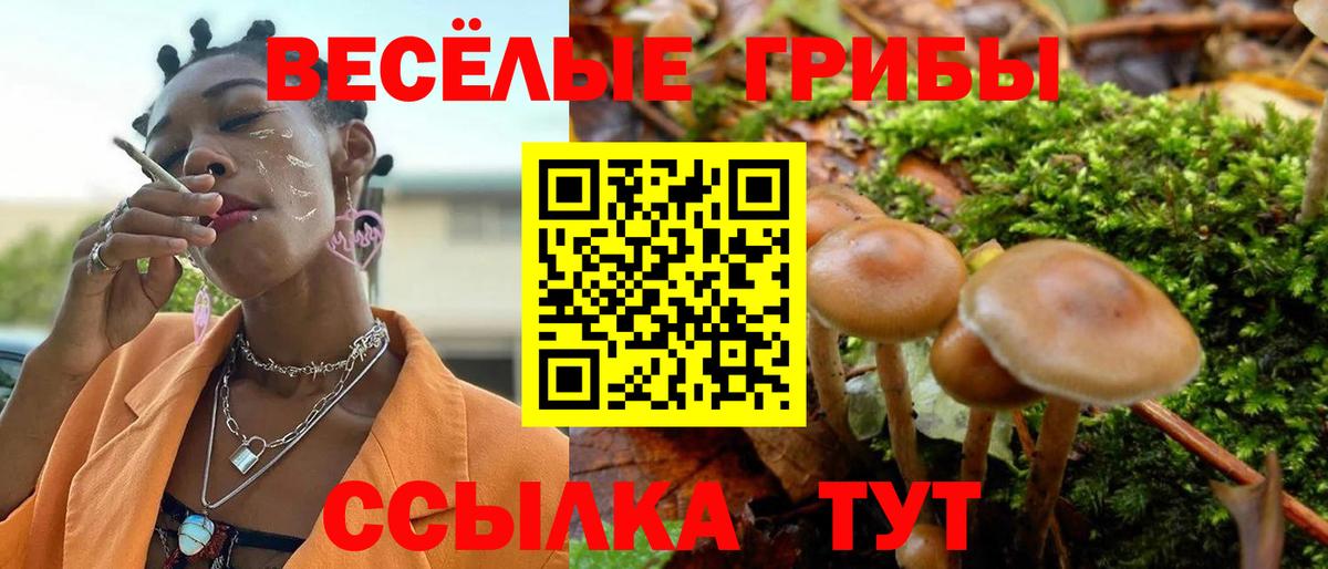 Псилоцибиновые грибы MAGIC MUSHROOMS Пенза